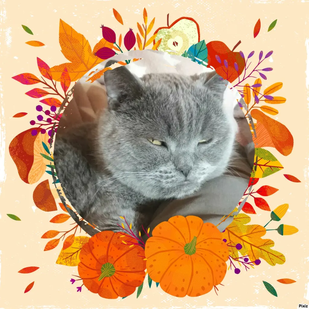 Condolence image of Tanja mit Timmy im Herzen