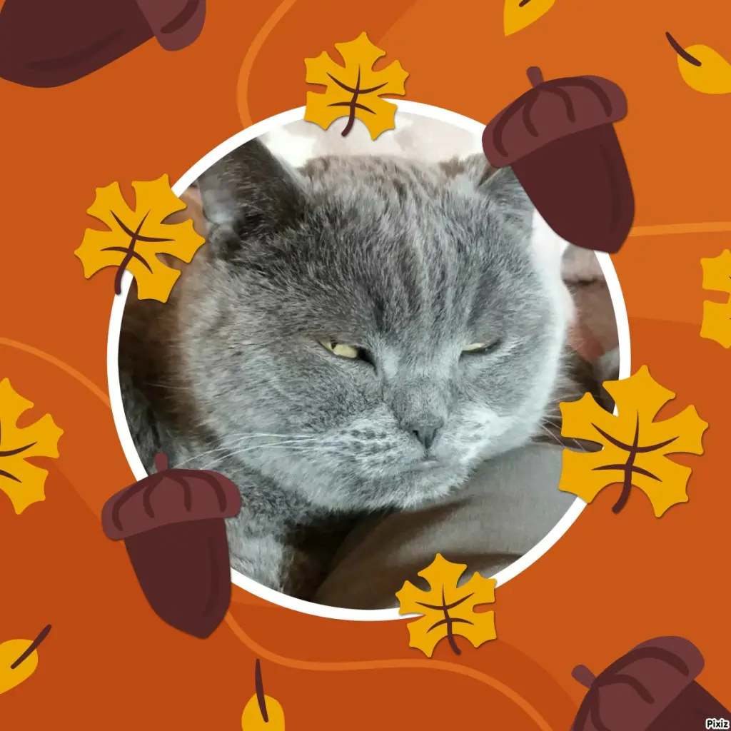 Condolence image of Tanja mit Timmy im Herzen