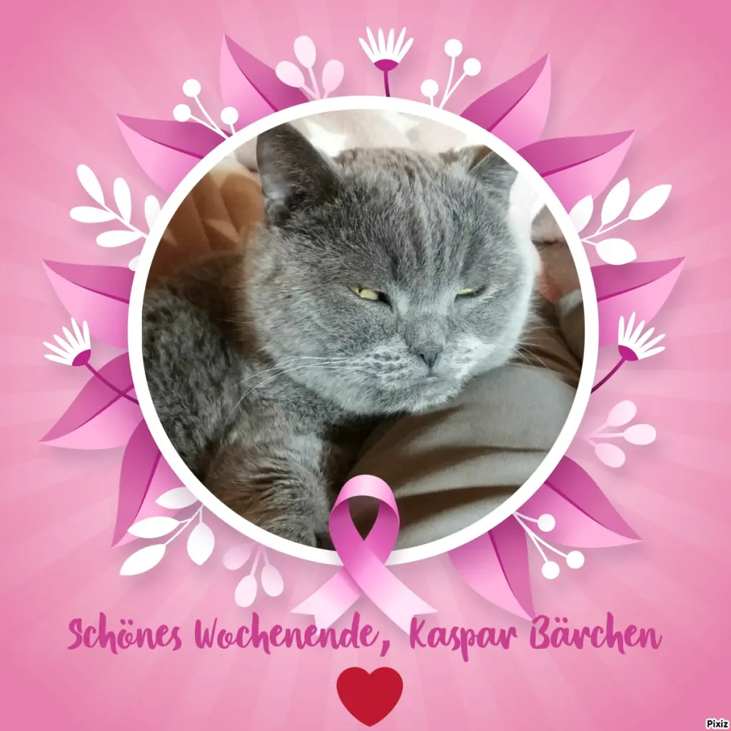 Condolence image of Tanja mit Timmy im Herzen
