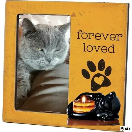 Condolence image of Tanja mit Timmy im Herzen