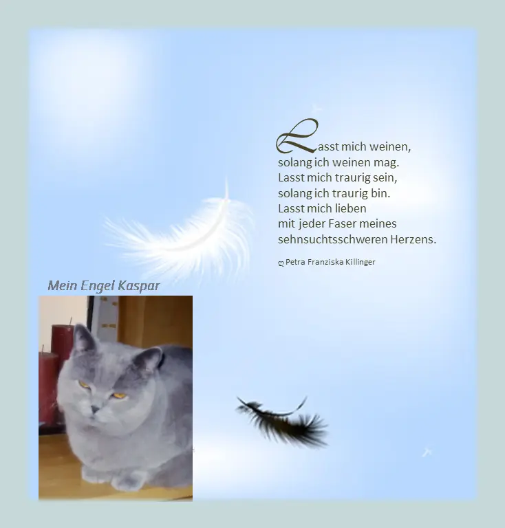Condolence image of deiner Katzenmama ☸ڿڰۣ❤️