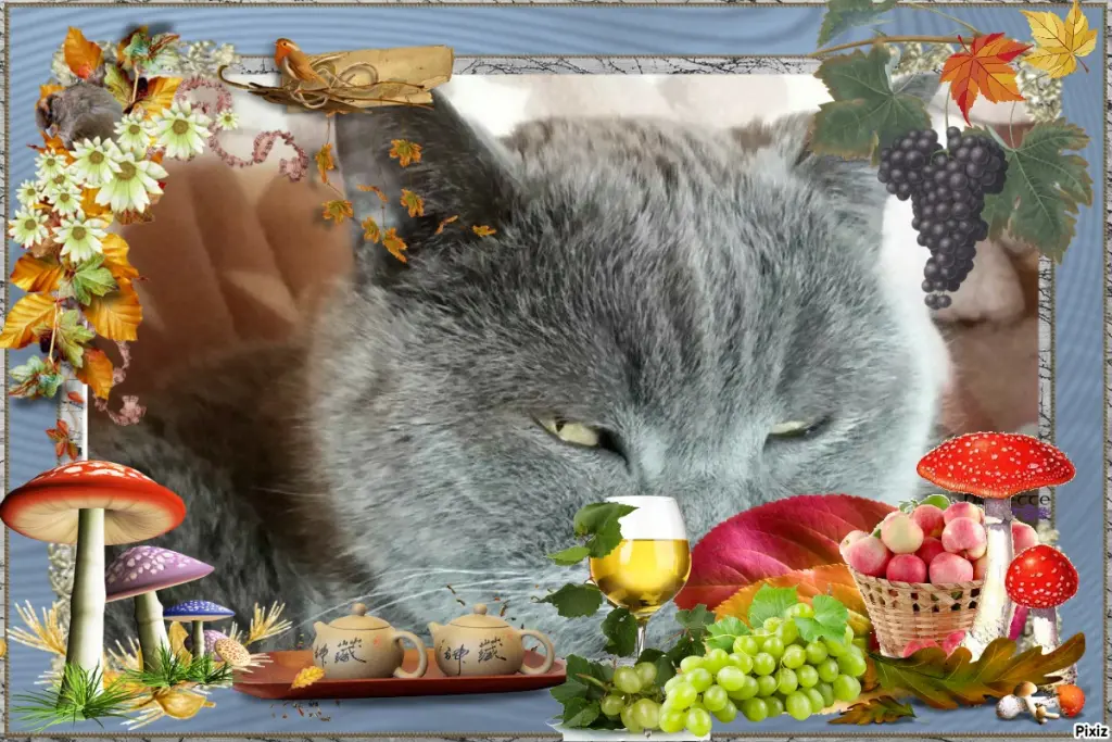 Condolence image of Tanja mit Timmy im Herzen 