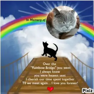 Condolence image of Himmelspost von Kaspar an Mami Sabine ❤