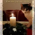 Condolence image of Anja mit Maja & Gräuli im ༺❤️༻