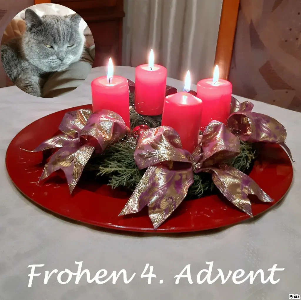 Condolence image of Tanja mit Timmy im Herzen
