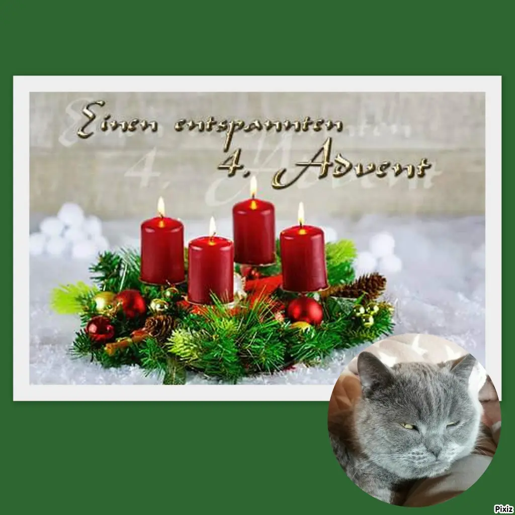 Condolence image of Tanja mit Timmy im Herzen