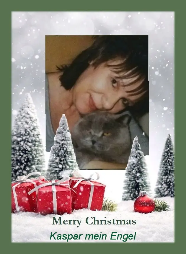 Condolence image of Weihnachtsgrüße an meinen Engel❤️☆ ¸.•*¨*•.