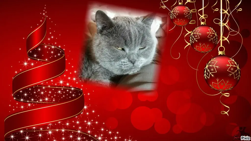 Condolence image of Tanja mit Timmy im Herzen