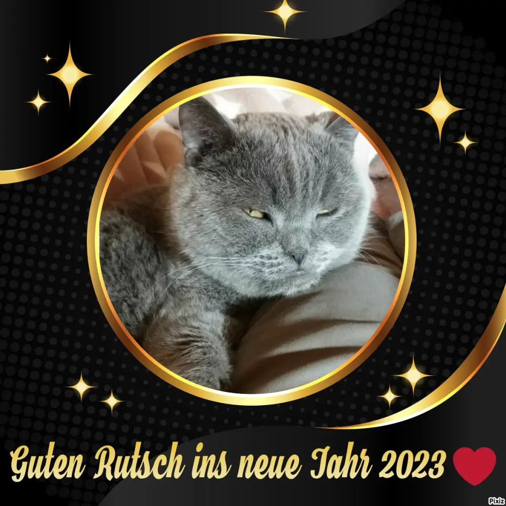 Condolence image of Tanja mit Timmy im Herzen