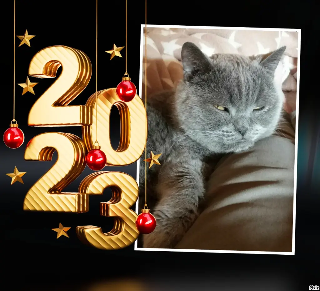 Condolence image of Neujahrsgrüße von Timmys Mutti Tanja an Kaspar Bärchen ❤ und Mami Sabine ❤