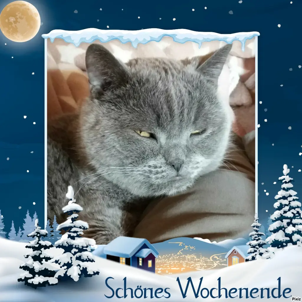 Condolence image of Tanja mit Timmy im Herzen