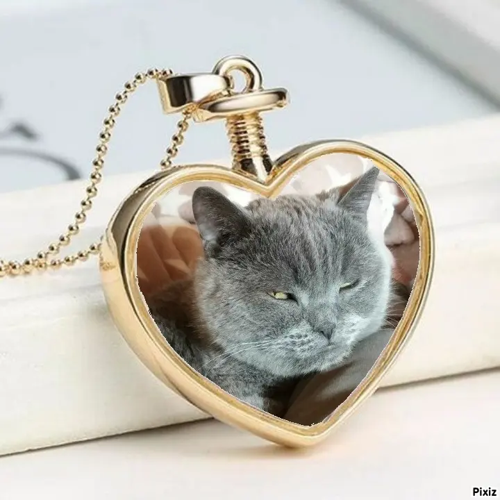 Condolence image of Tanja mit Timmy im Herzen