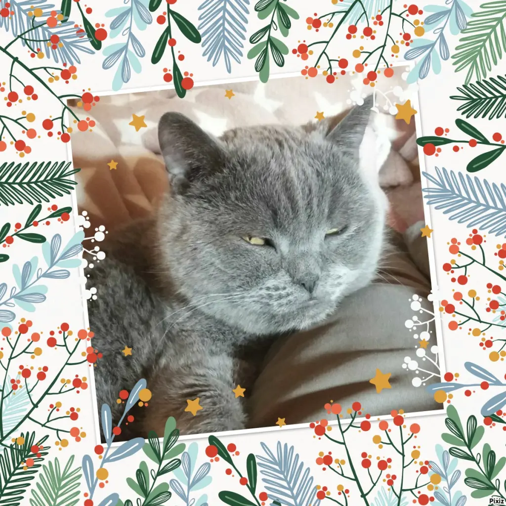 Condolence image of Tanja mit Timmy im Herzen