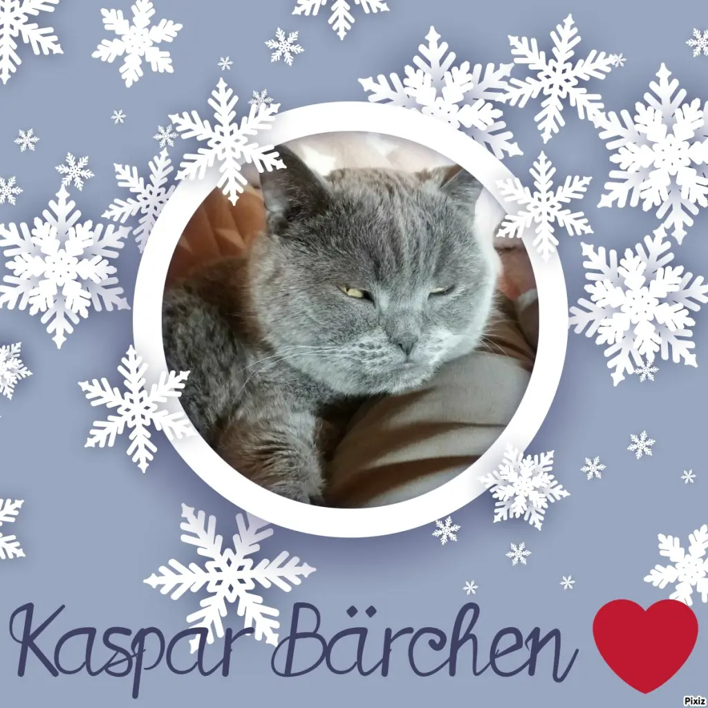 Condolence image of Tanja mit Timmy im Herzen