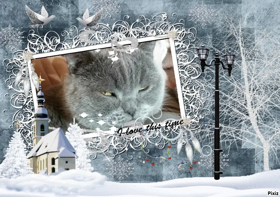 Condolence image of Tanja mit Timmy im Herzen