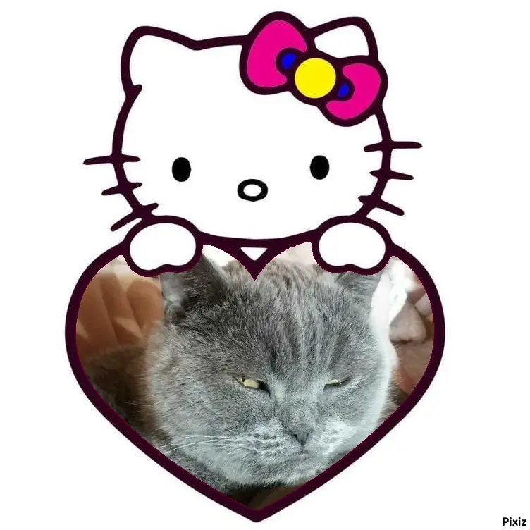 Condolence image of Tanja mit Timmy im Herzen