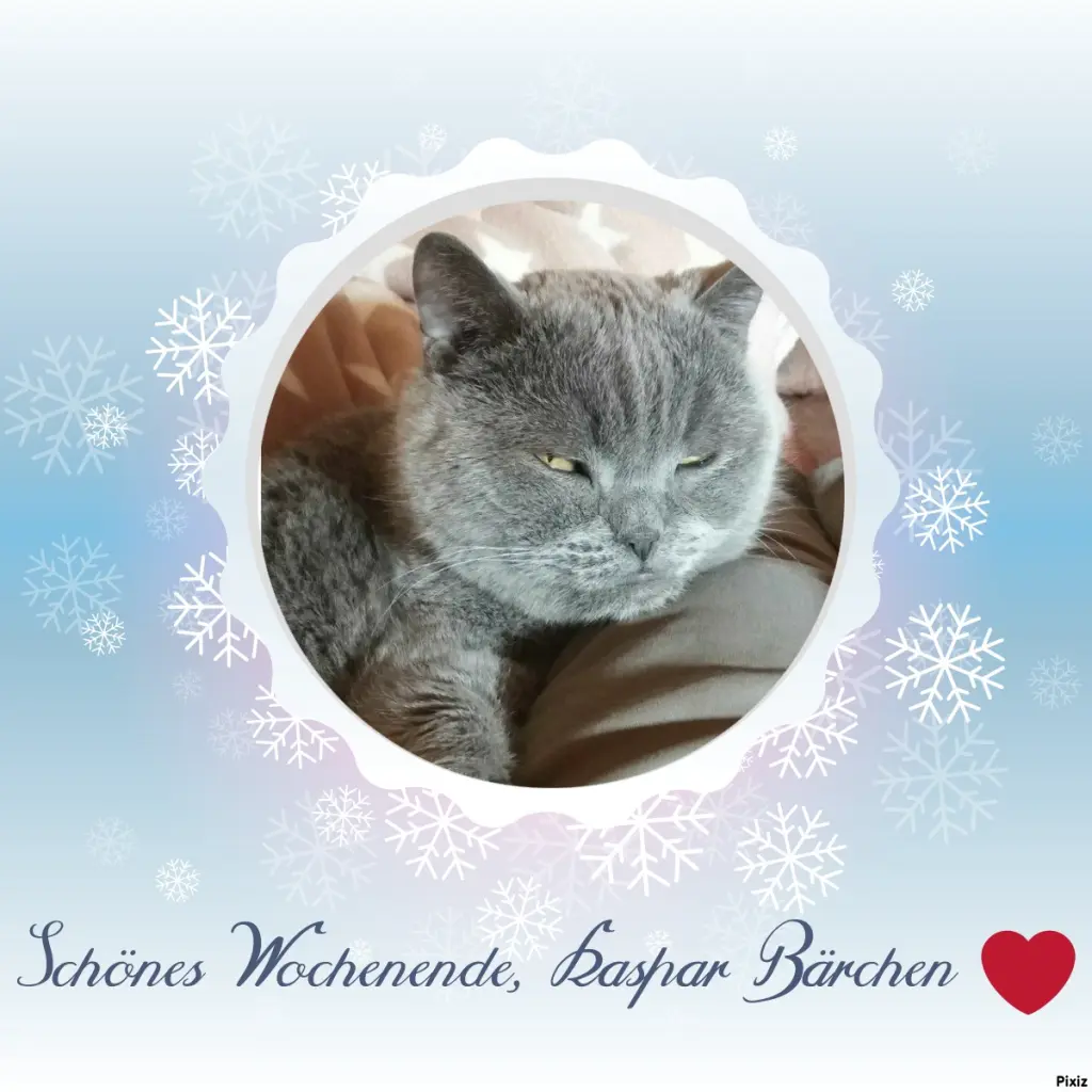 Condolence image of Tanja mit Timmy im Herzen