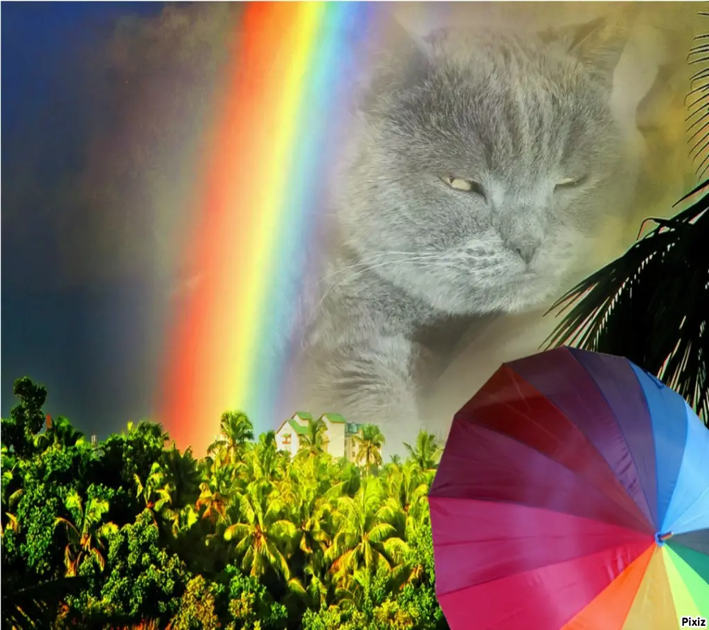 Condolence image of Tanja mit Timmy im Herzen