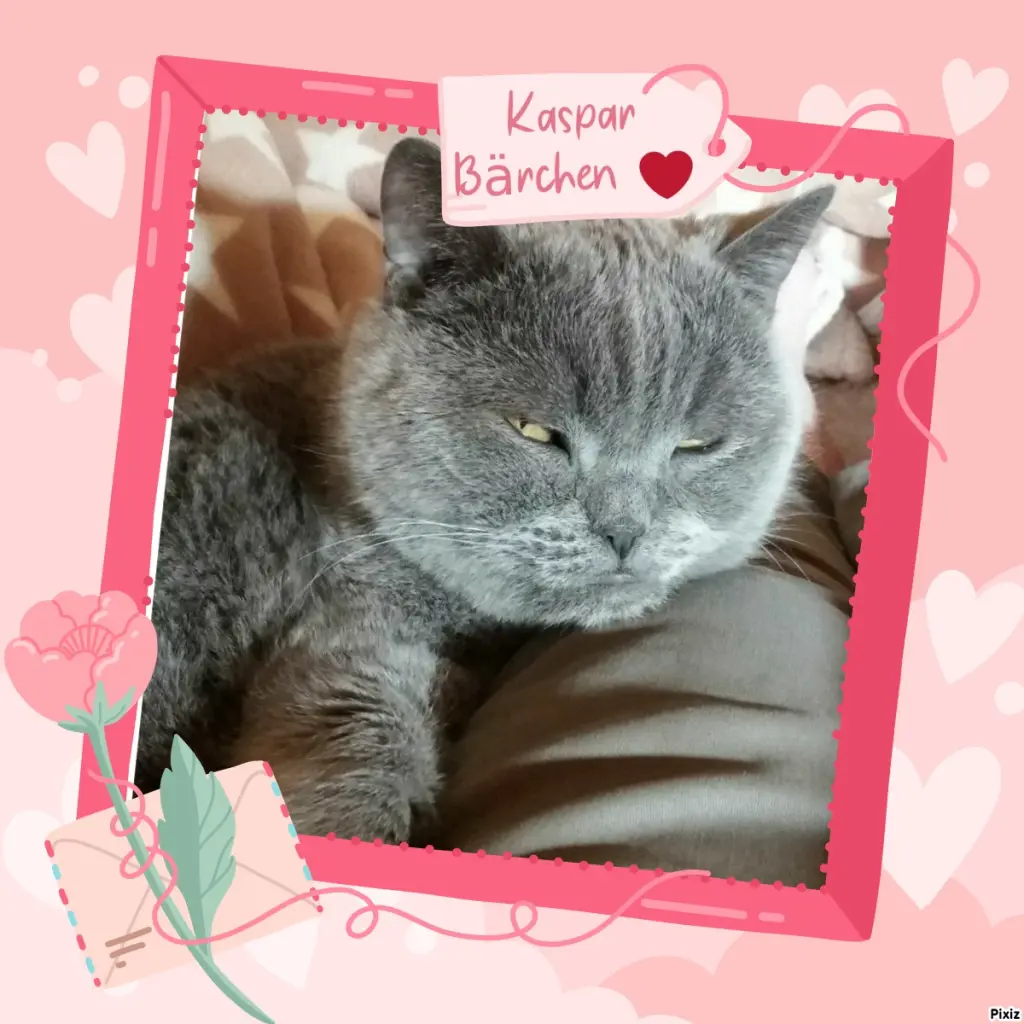 Condolence image of Tanja mit Timmy im Herzen