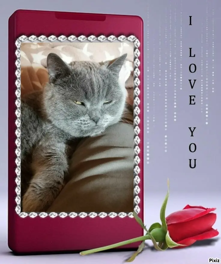 Condolence image of Post von Bärchen