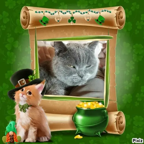 Condolence image of Tanja mit Timmy im Herzen
