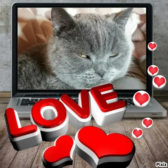 Condolence image of Tanja mit Timmy im Herzen