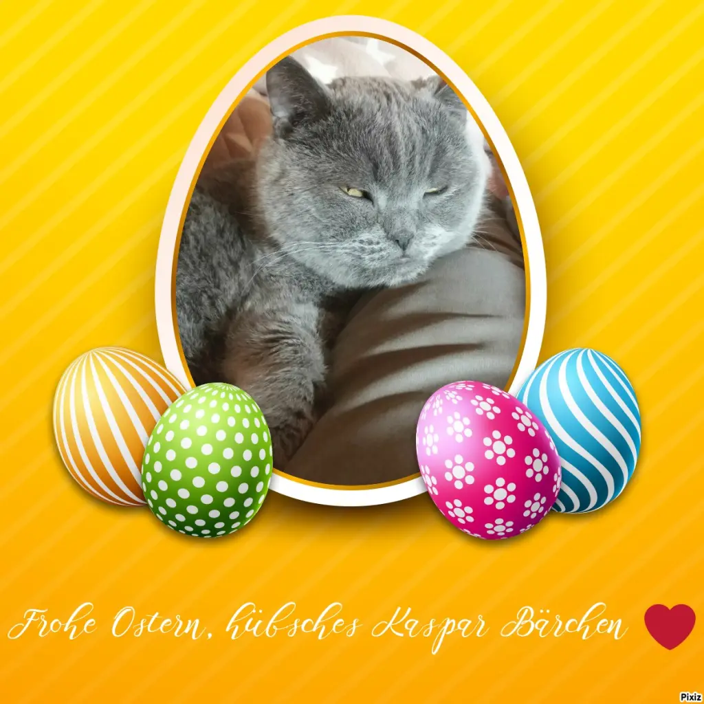 Condolence image of Tanja mit Timmy im Herzen