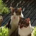 Condolence image of Anja mit Maja & Gräuli im ༺❤️༻