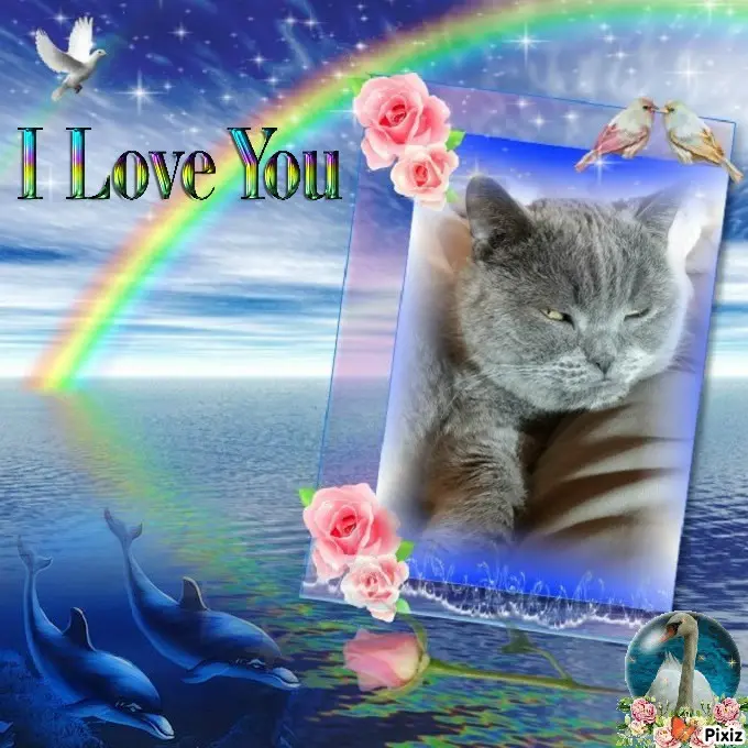 Condolence image of Post von Bärchen ❤