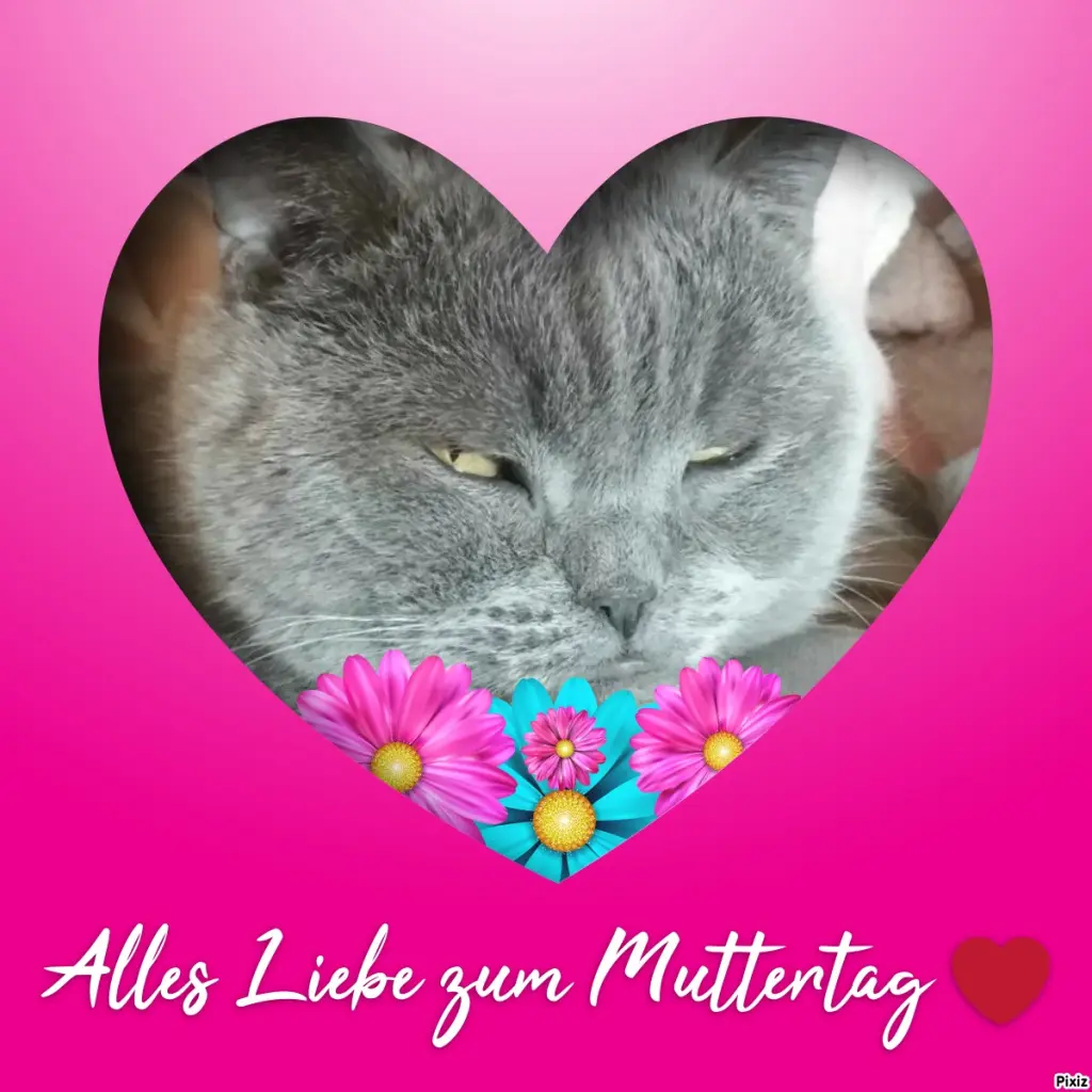 Condolence image of Post von Bärchen an Mami Sabine ❤
