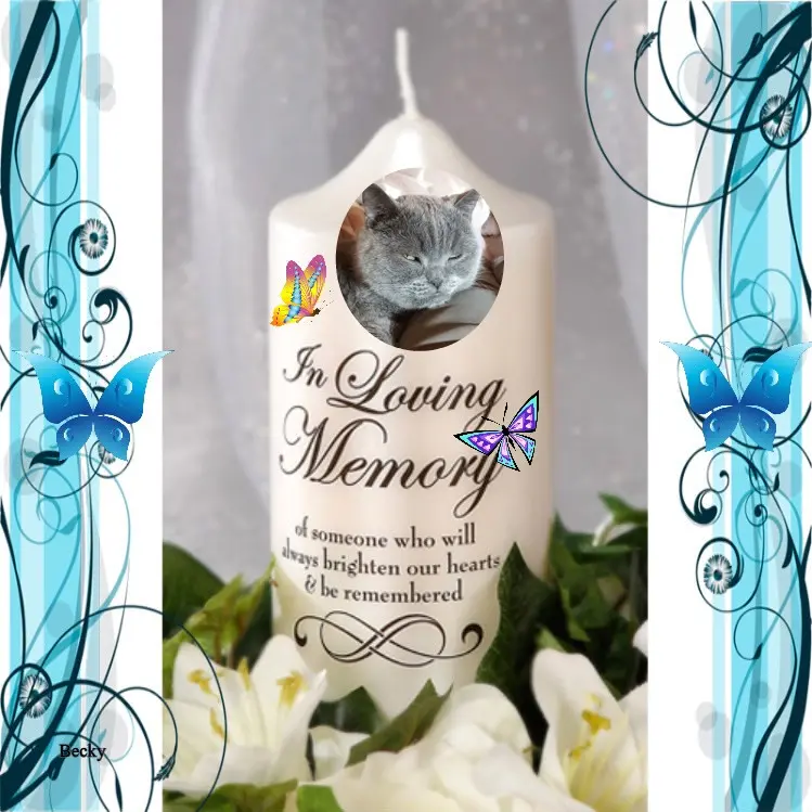 Condolence image of 4.Sternchen❤️Gedenktag❤️❤️❤️❤️