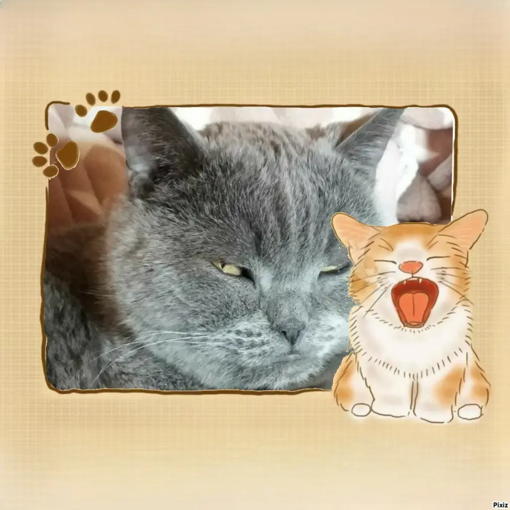 Condolence image of Tanja mit Timmy im Herzen