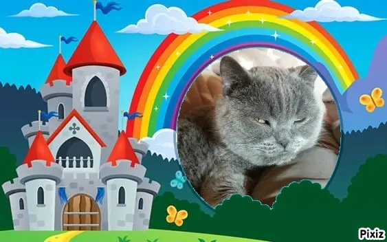 Condolence image of Tanja mit Timmy im Herzen