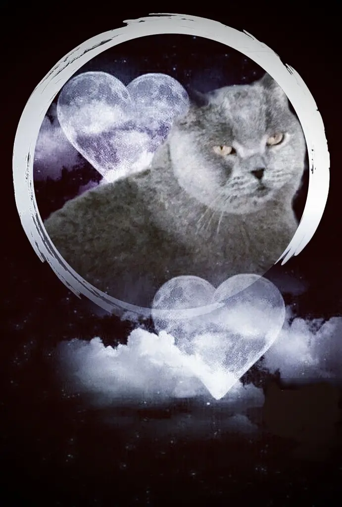 Condolence image of deinem Frauchen ♥️