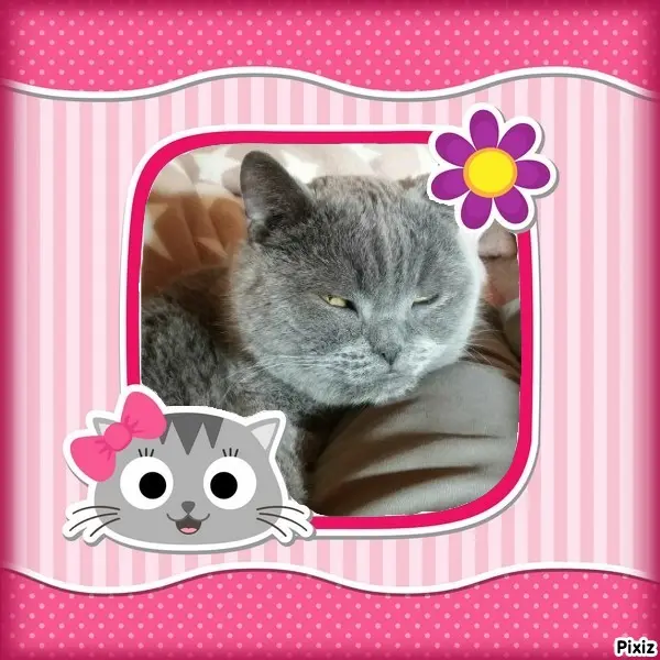 Condolence image of Tanja mit Timmy im Herzen
