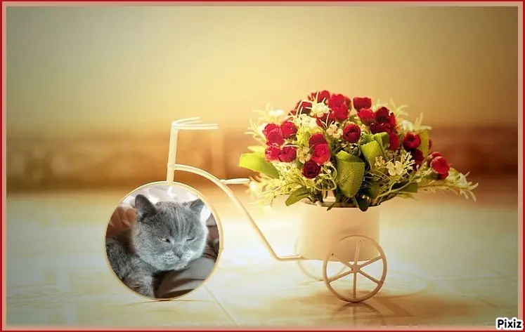 Condolence image of Tanja mit Timmy im Herzen