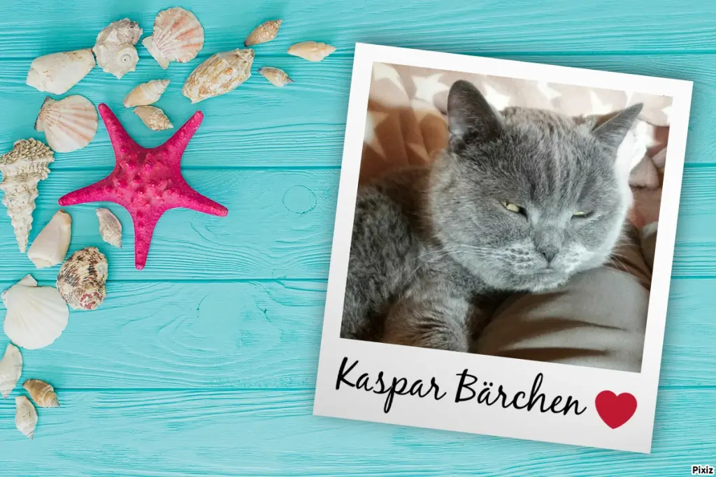 Condolence image of Tanja mit Timmy im Herzen