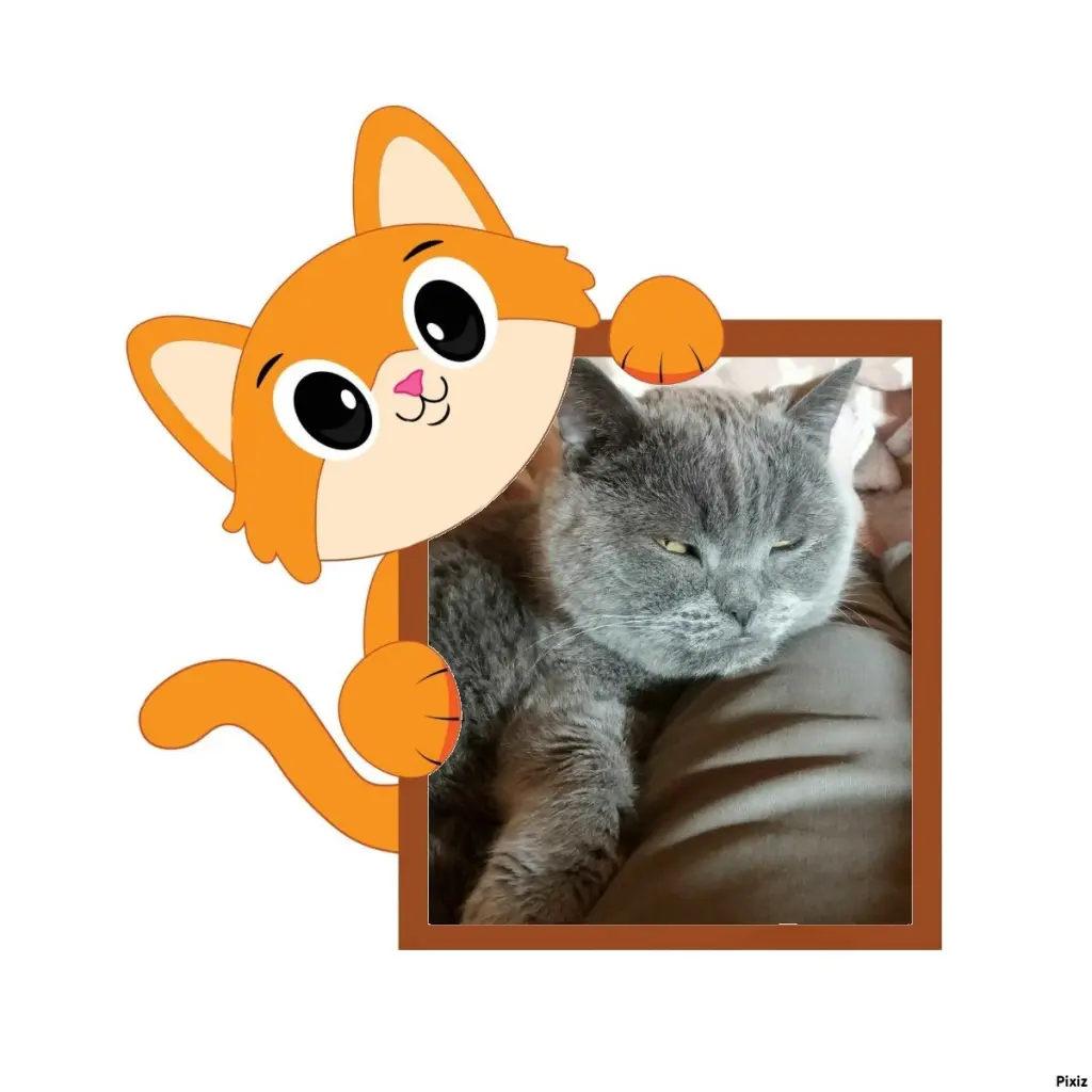 Condolence image of Tanja mit Timmy im Herzen
