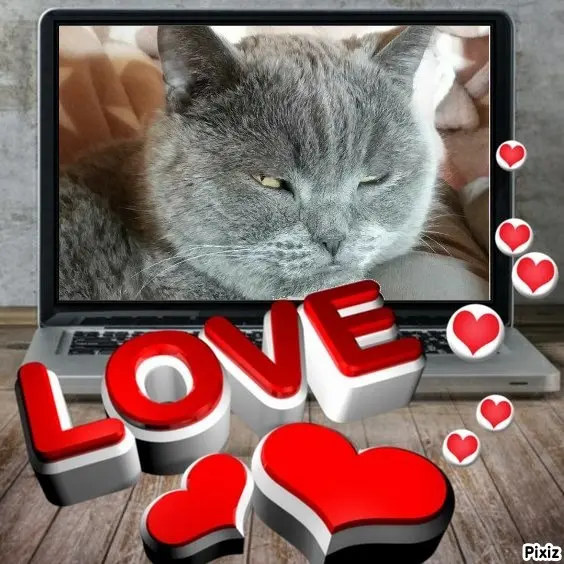 Condolence image of Tanja mit Timmy im Herzen