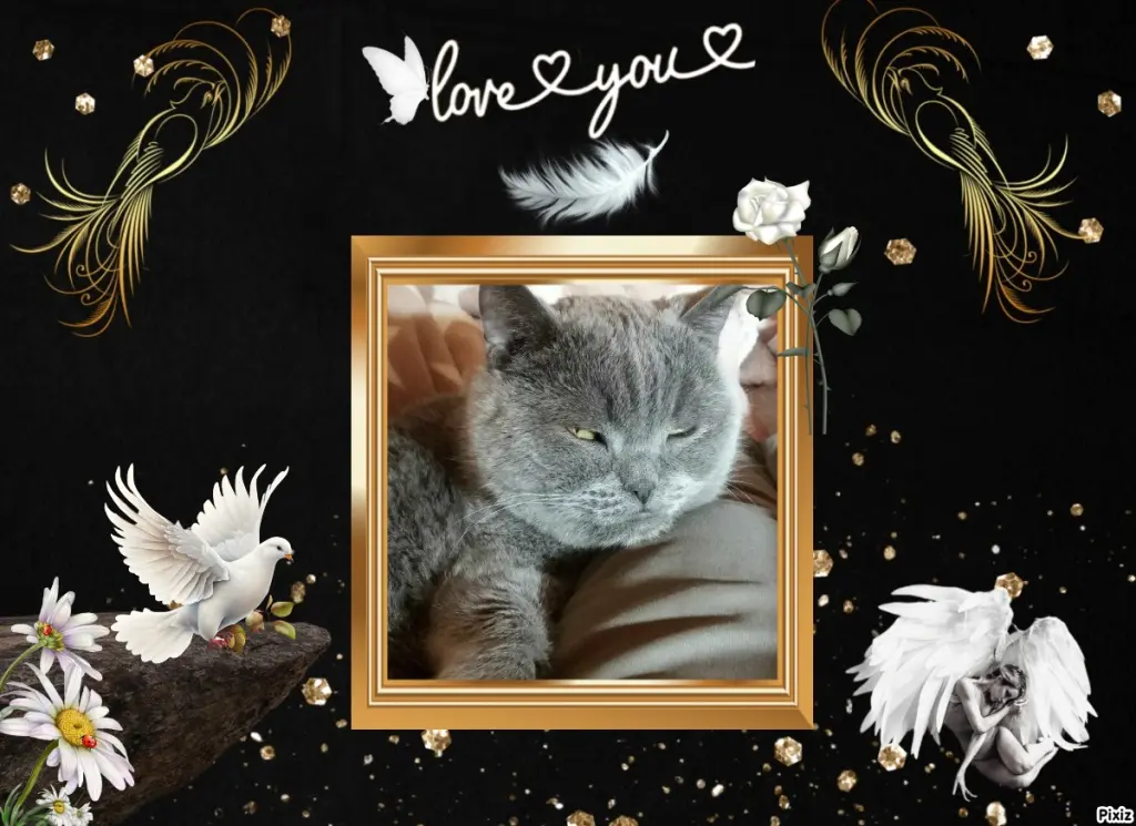Condolence image of Tanja mit Timmy im Herzen