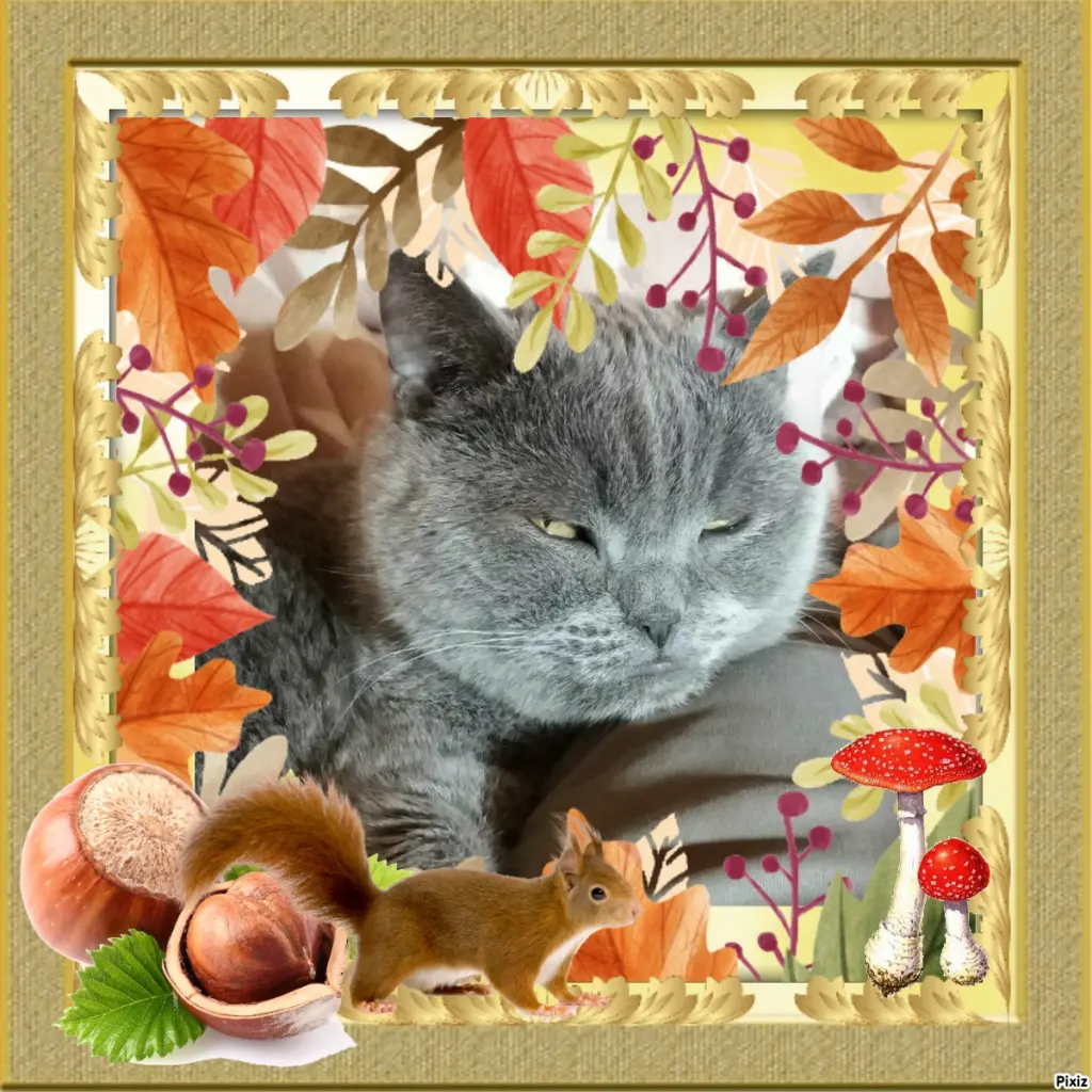 Condolence image of Tanja mit Timmy im Herzen