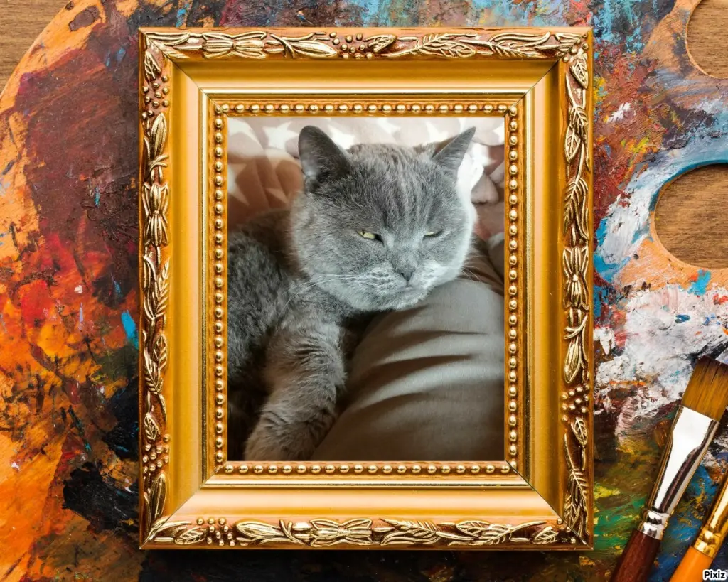 Condolence image of Tanja mit Timmy im Herzen