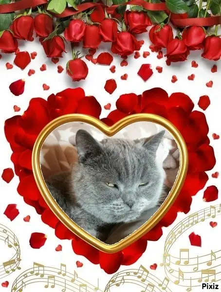 Condolence image of Post von Bärchen ❤