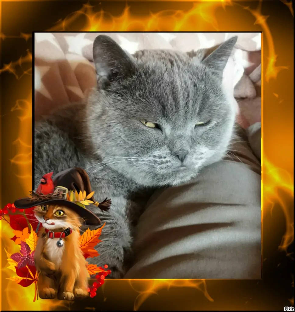 Condolence image of Tanja mit Timmy im Herzen