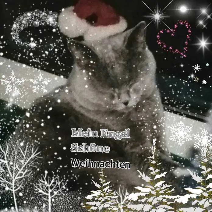 Condolence image of Frauchen♥️
