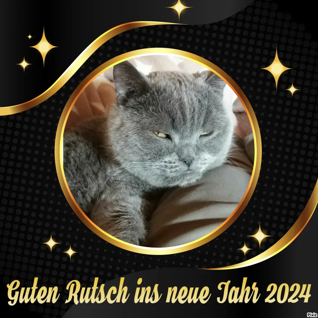 Condolence image of Tanja mit Timmy im Herzen