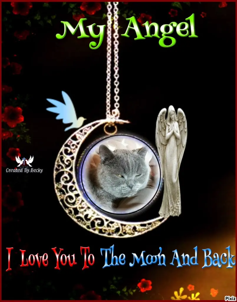 Condolence image of Tanja mit Timmy im Herzen