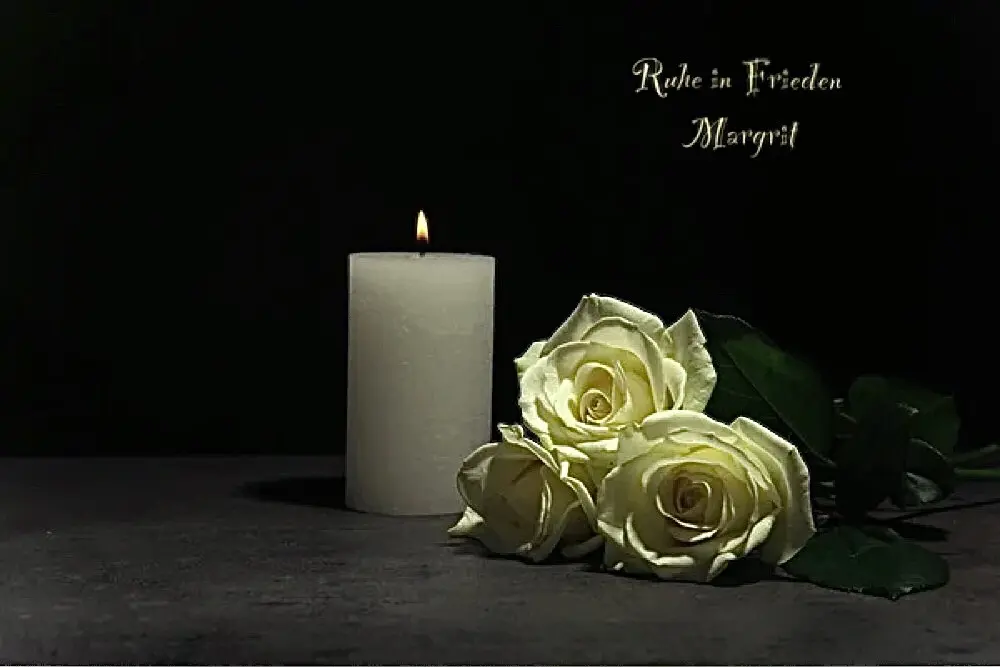 Condolence image of deiner Katzenmutti ♥️