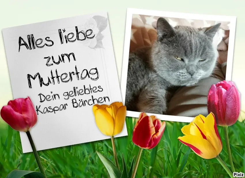 Condolence image of Post von Bärchen ❤