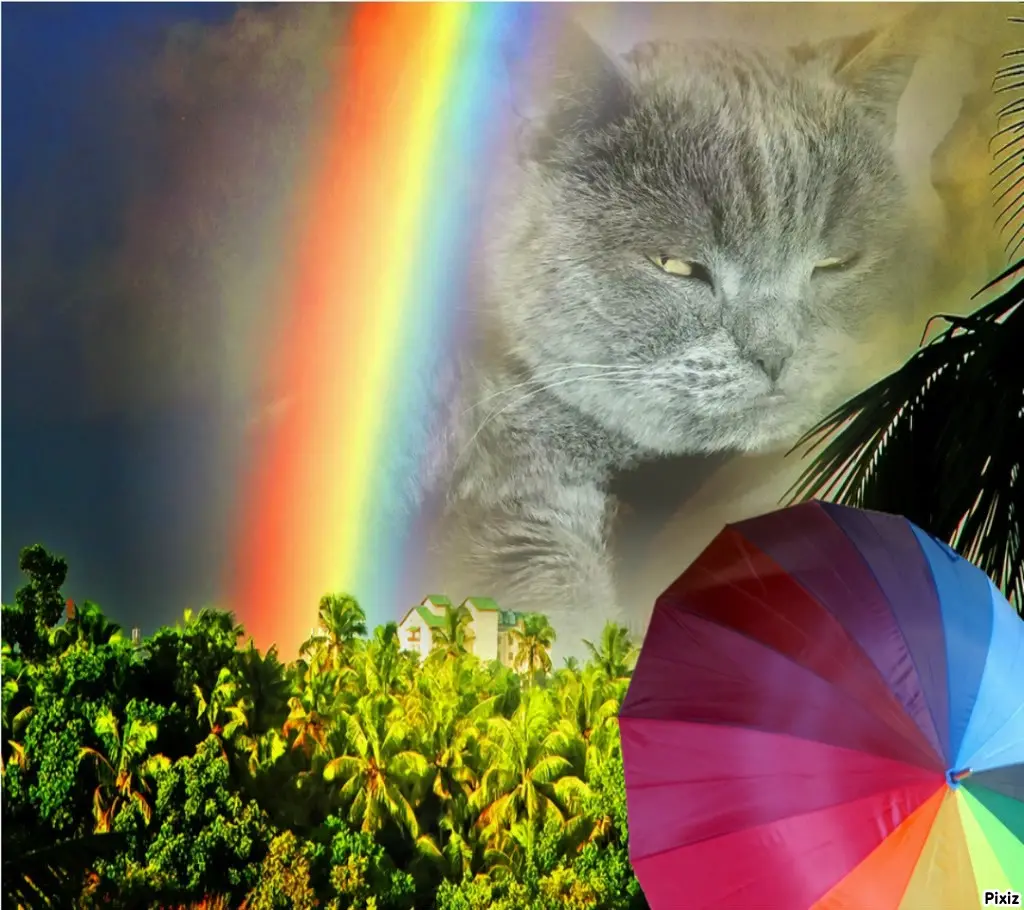 Condolence image of Tanja mit Timmy im Herzen